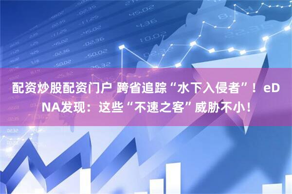 配资炒股配资门户 跨省追踪“水下入侵者”！eDNA发现：这些“不速之客”威胁不小！